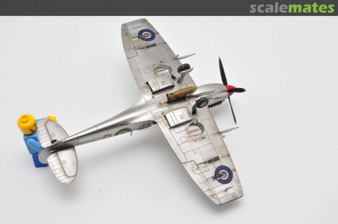 View album, image #1 View album, image #1