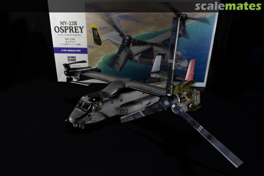 View album, image #2