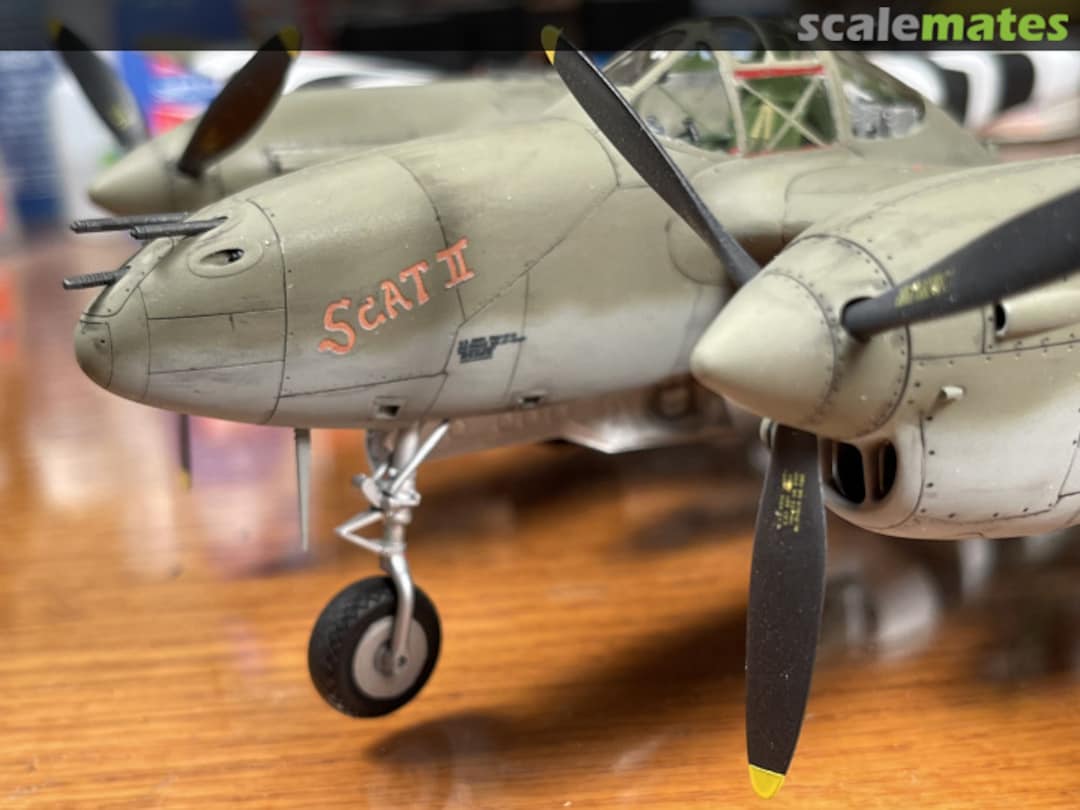 View album, image #1 View album, image #1