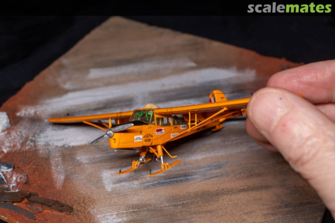 View album, image #13 View album, image #13