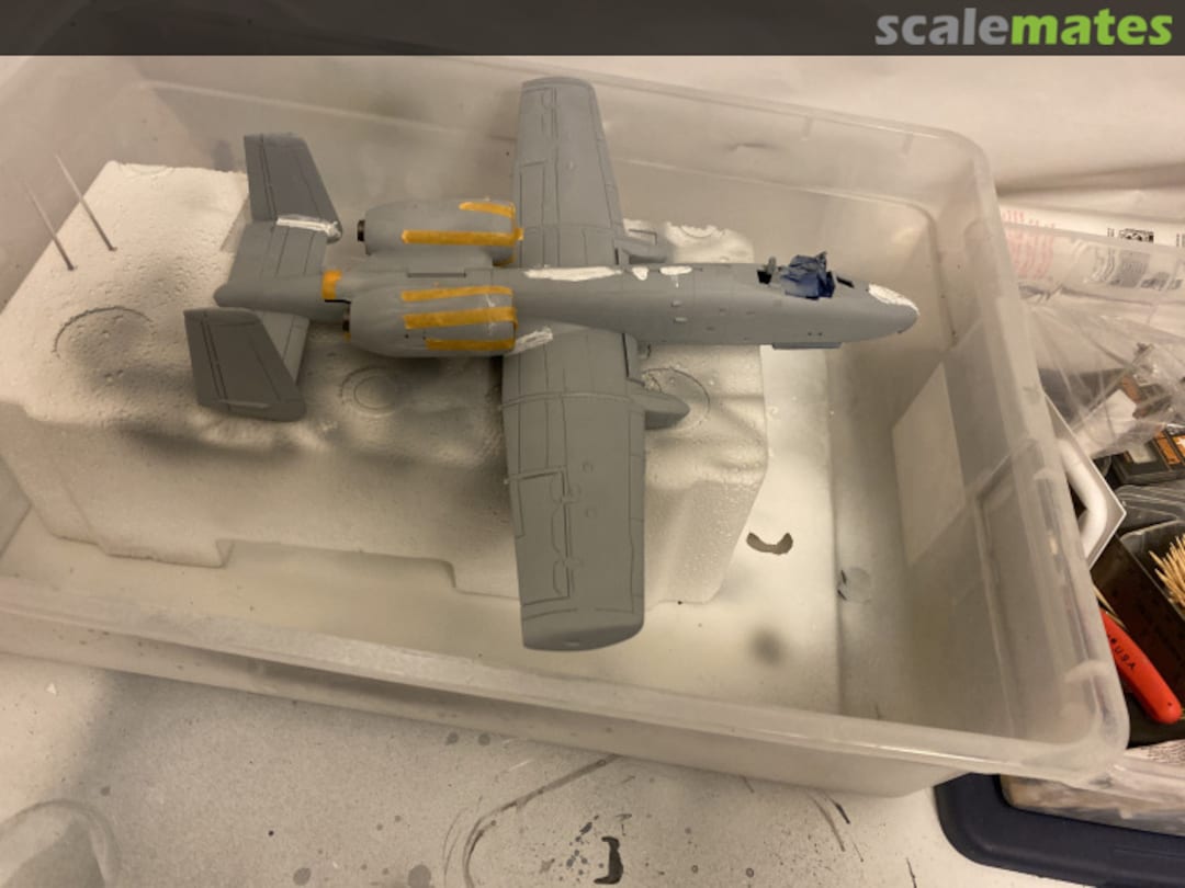 View album, image #1 View album, image #1