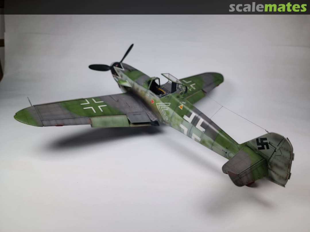 View album, image #1 View album, image #1