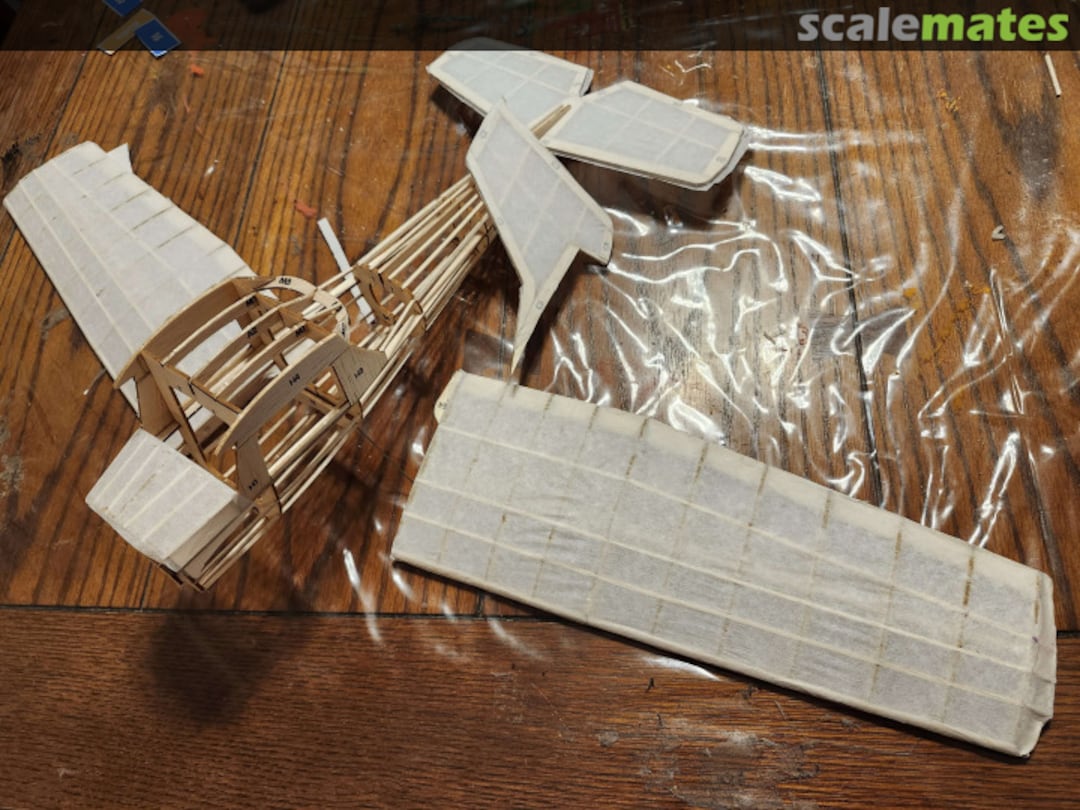 View album, image #3