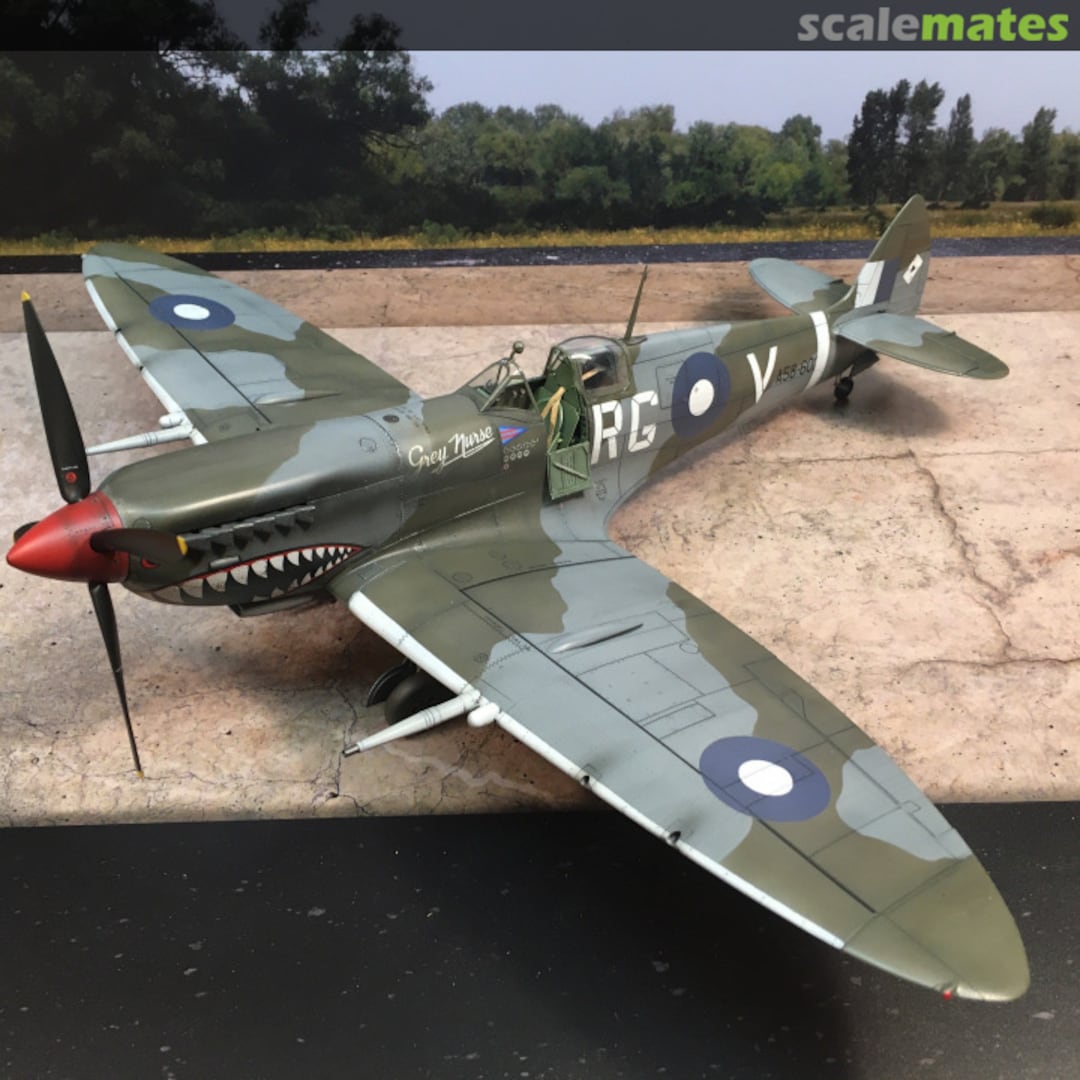 View album, image #1