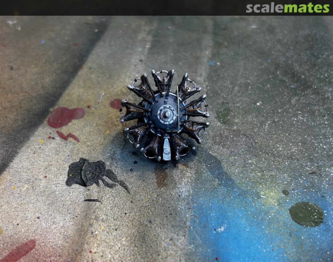 View album, image #31 View album, image #31