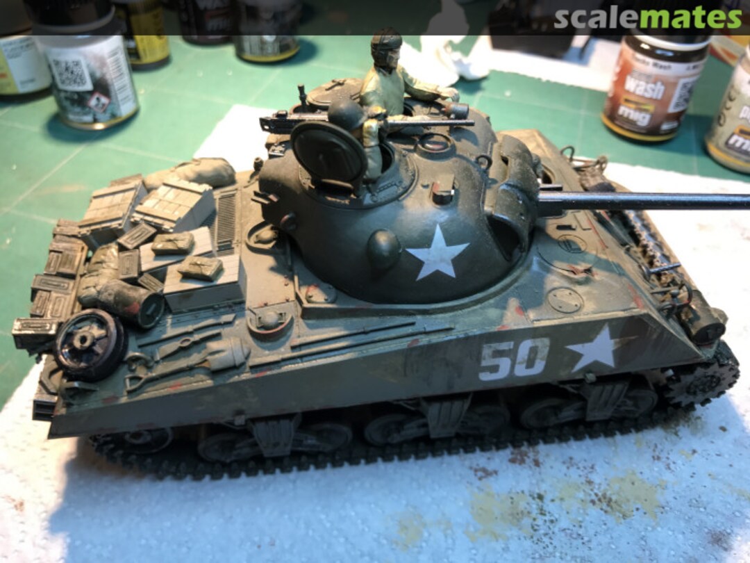 View album, image #1 View album, image #1