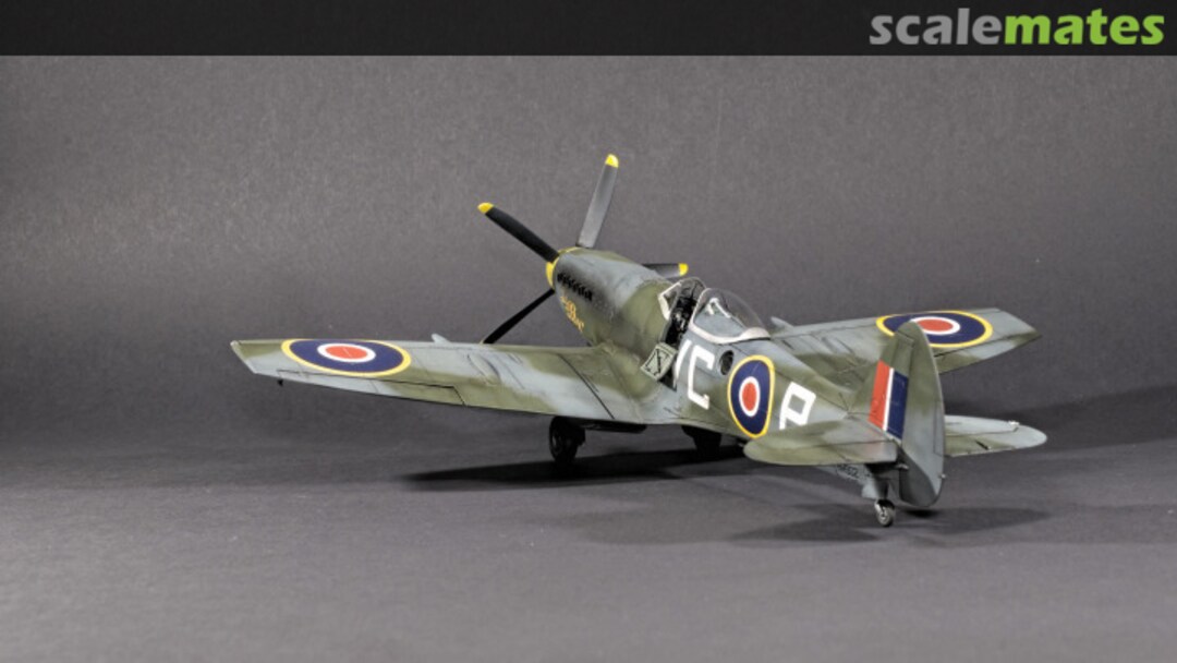 View album, image #1 View album, image #1