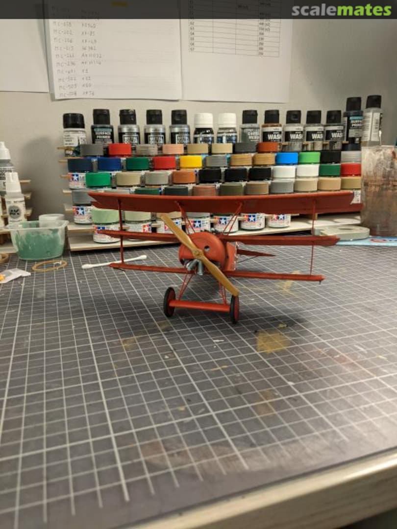 View album, image #1