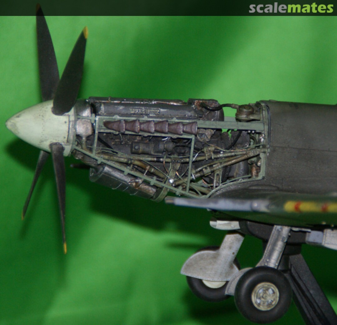 View album, image #63 View album, image #63