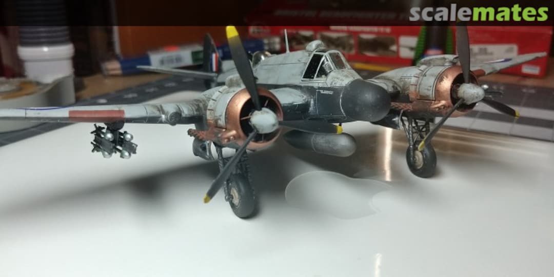 View album, image #1 View album, image #1