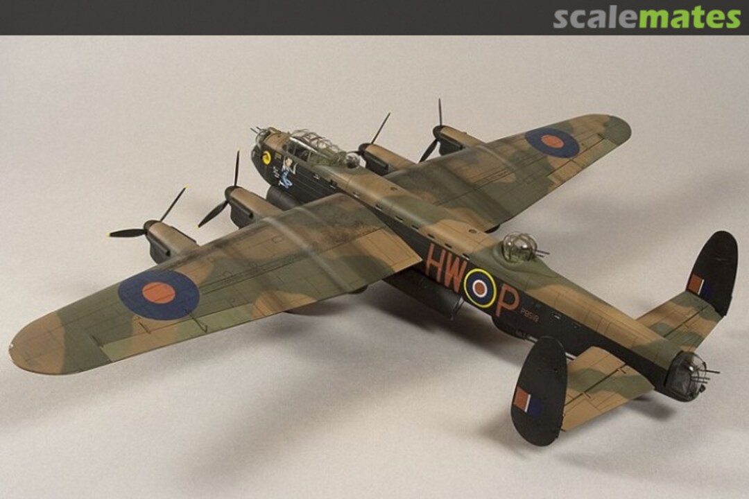 View album, image #10 View album, image #10