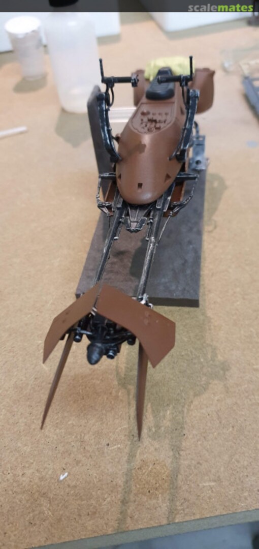 View album, image #1