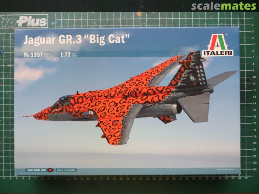 View album, image #1 View album, image #1