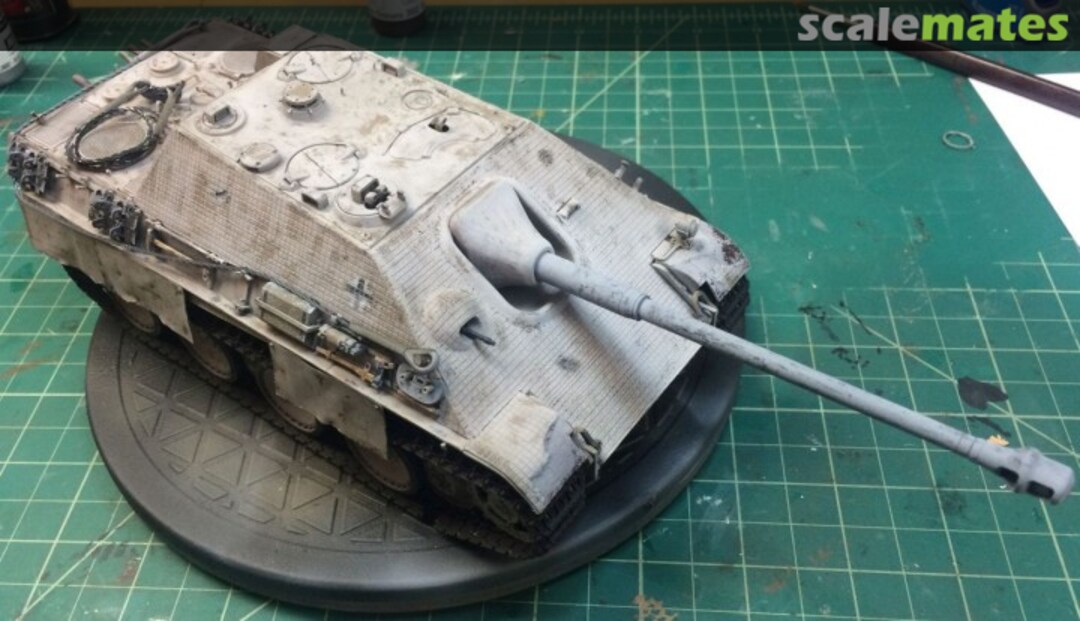 View album, image #1 View album, image #1