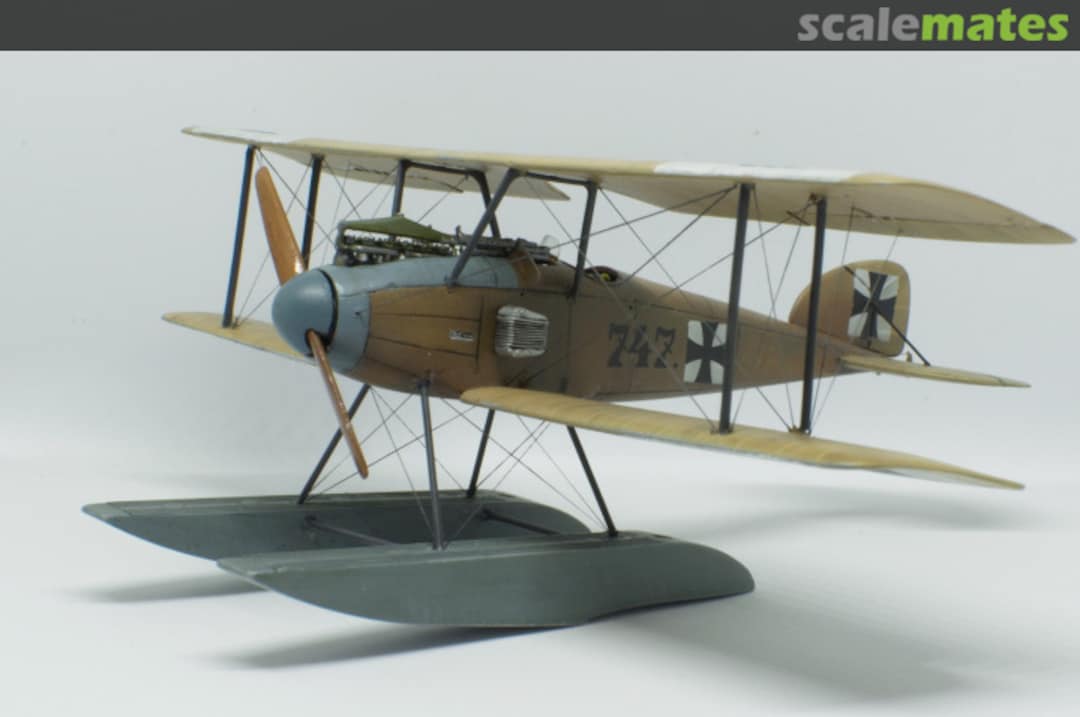 View album, image #1