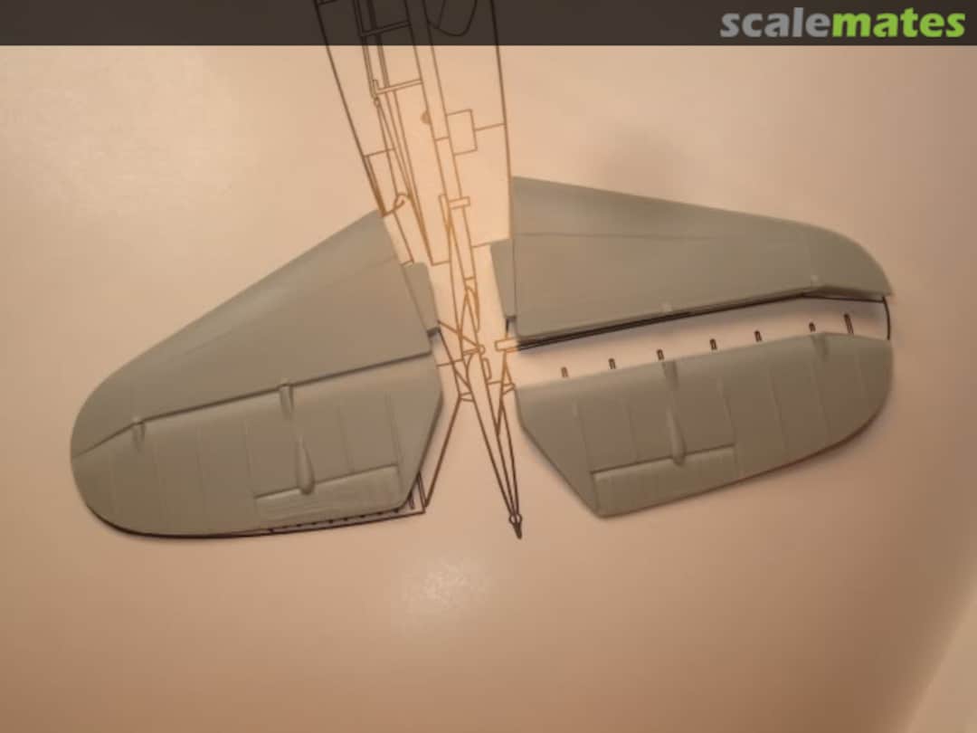 View album, image #1