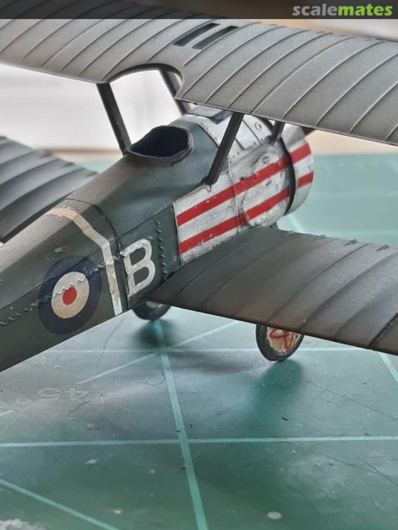 View album, image #17