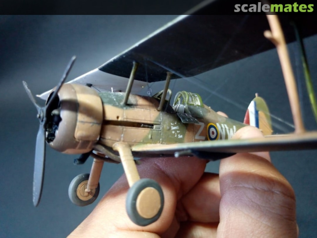 View album, image #34