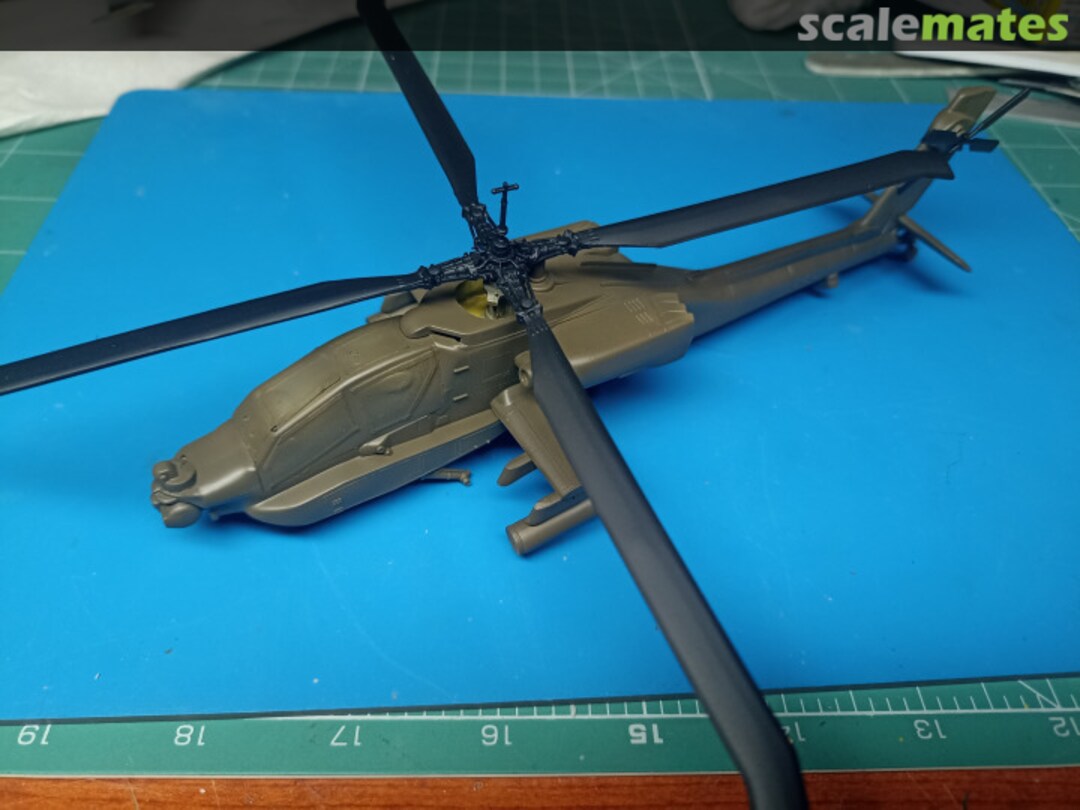 View album, image #6 View album, image #6