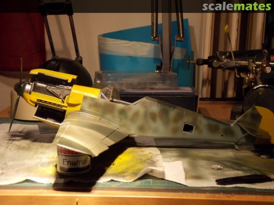 View album, image #4