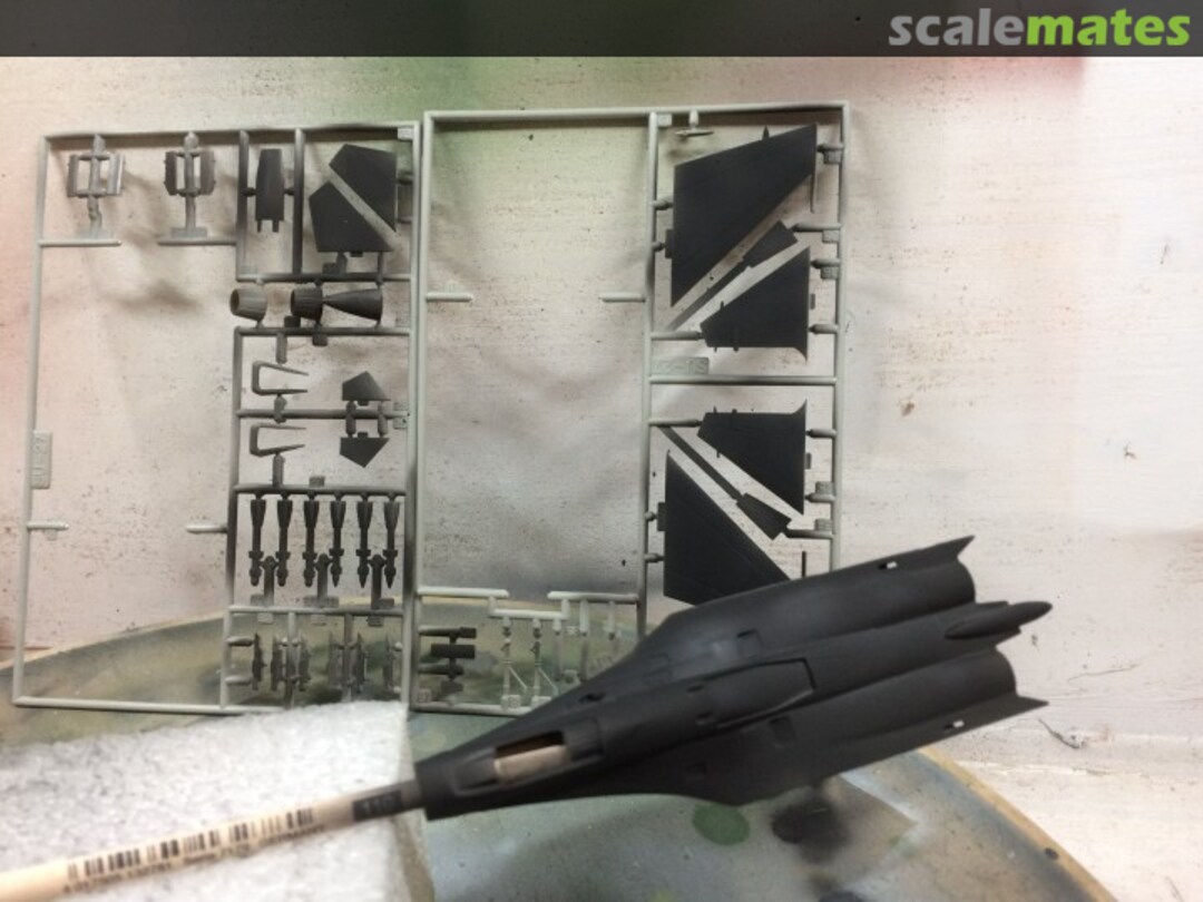 View album, image #1