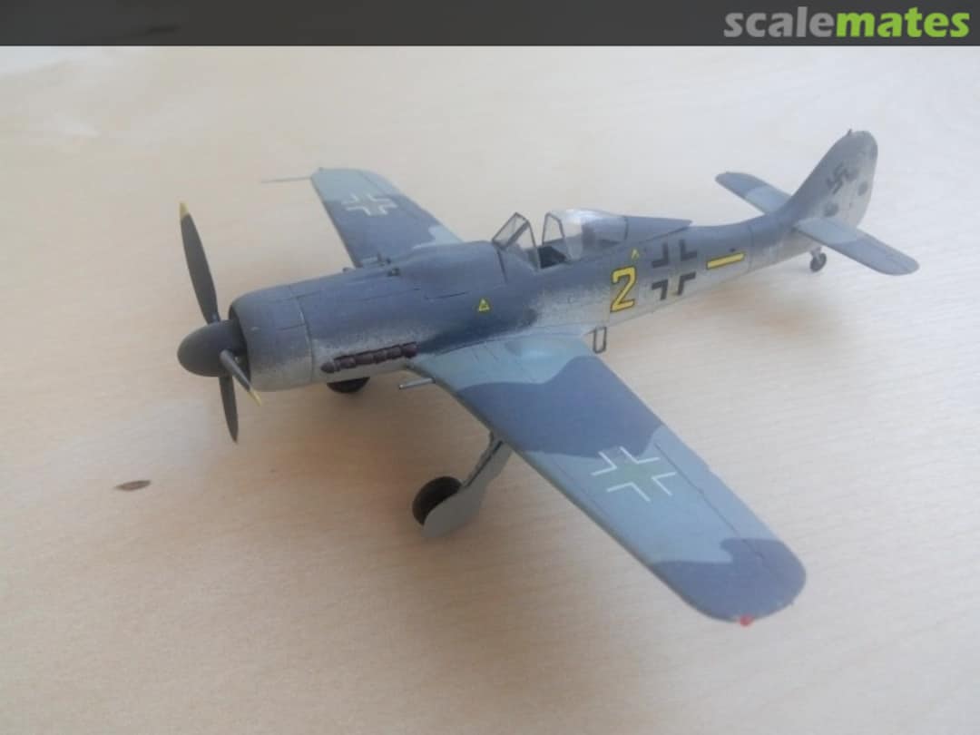 View album, image #1 View album, image #1