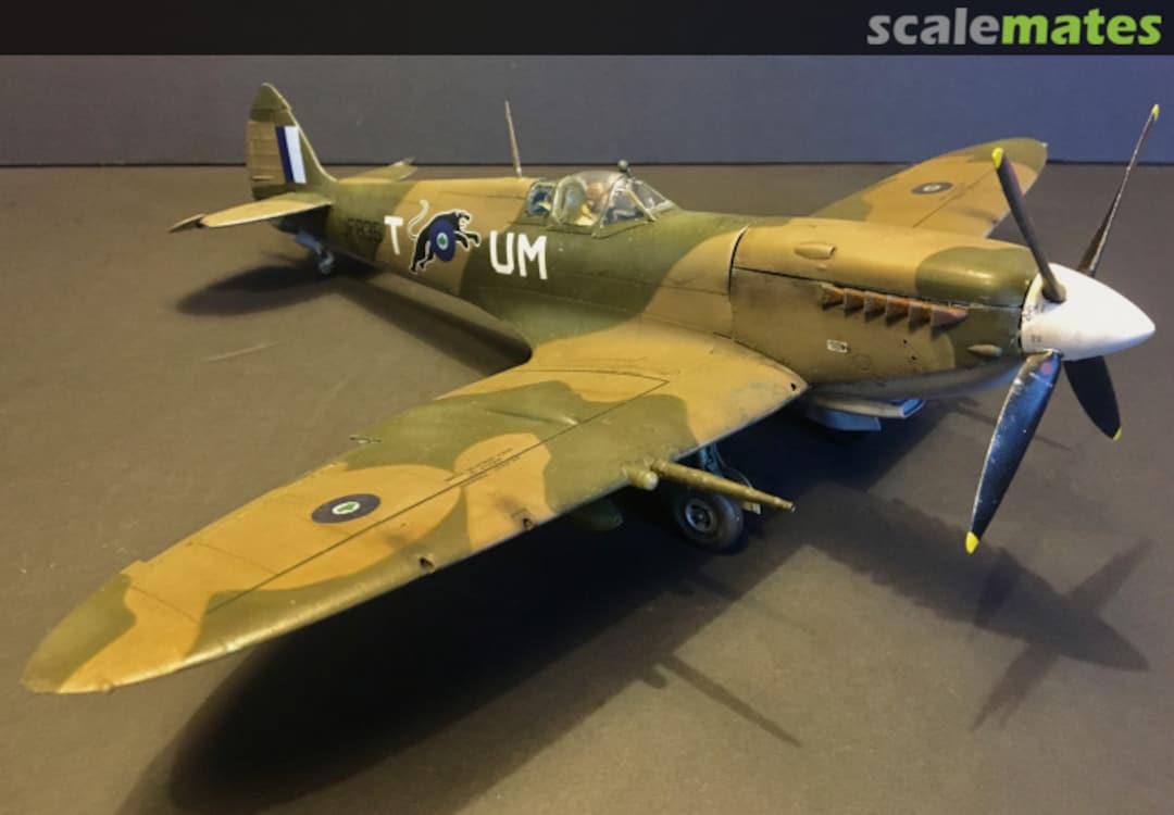 View album, image #1