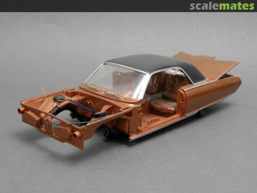 View album, image #1 View album, image #1