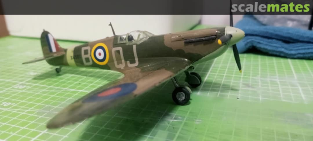 View album, image #1 View album, image #1