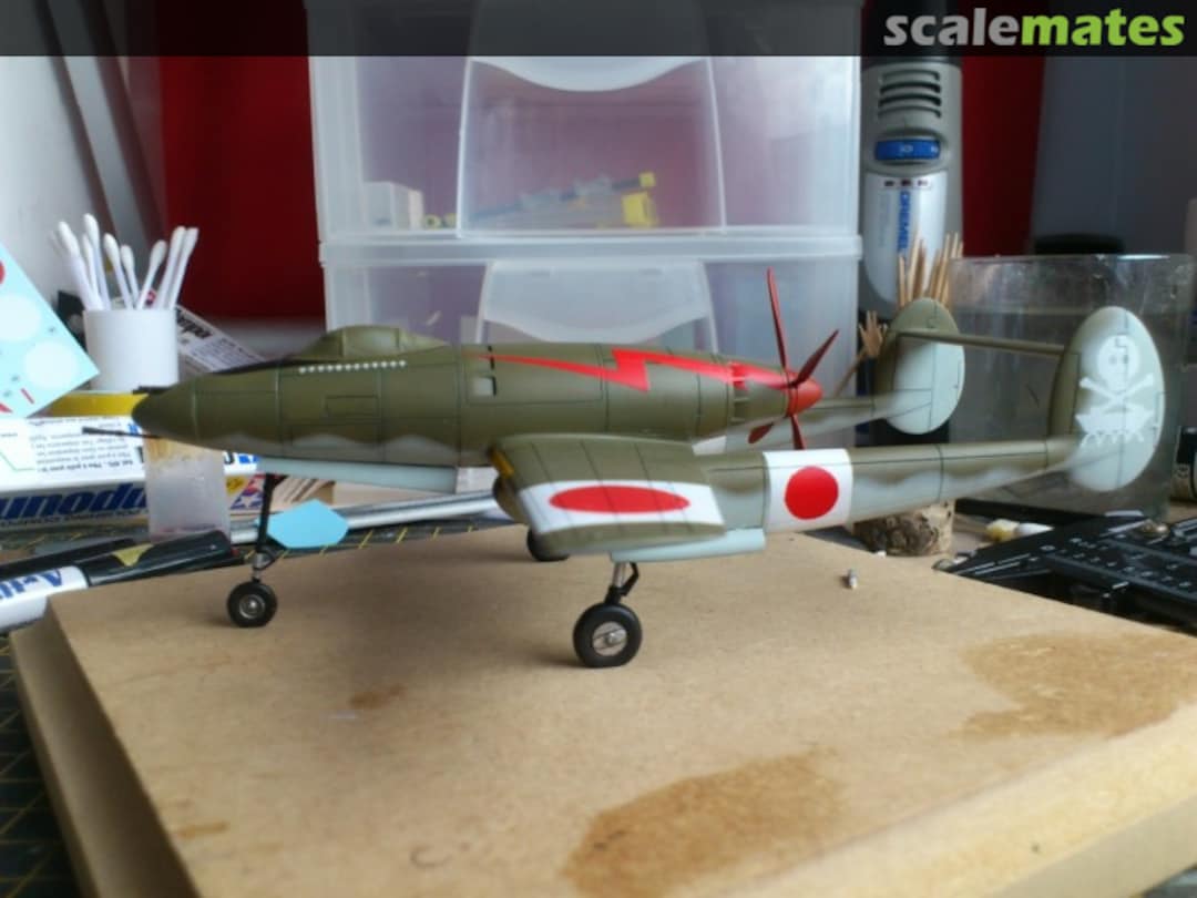 View album, image #1 View album, image #1