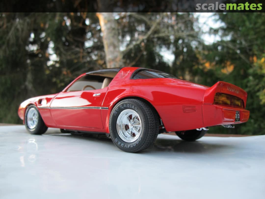 View album, image #1 View album, image #1