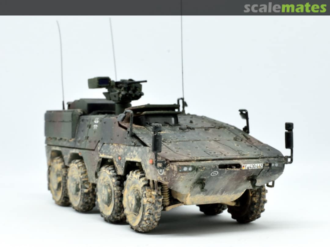 View album, image #1 View album, image #1