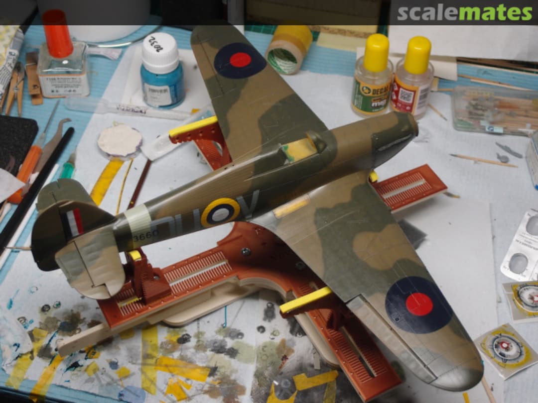 View album, image #9 View album, image #9