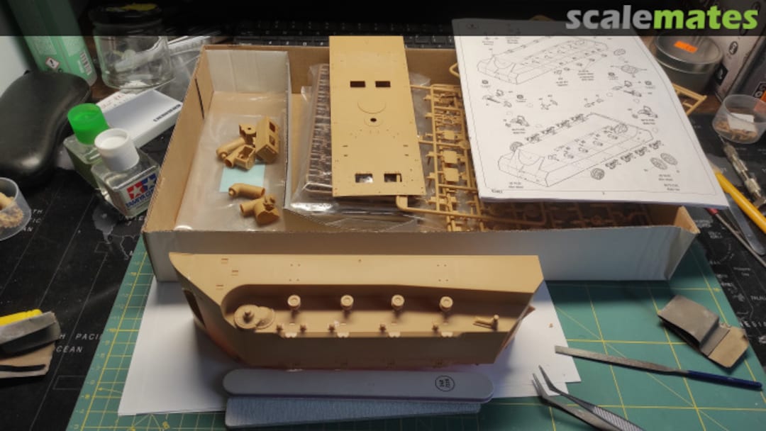 View album, image #1 View album, image #1