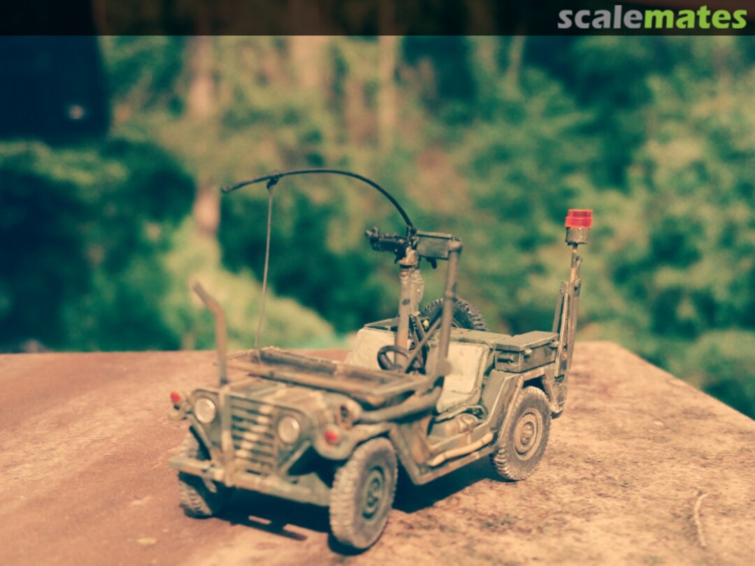 View album, image #1