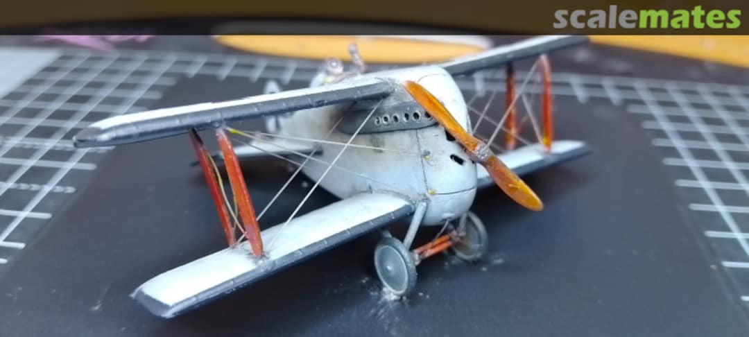 View album, image #2 View album, image #2