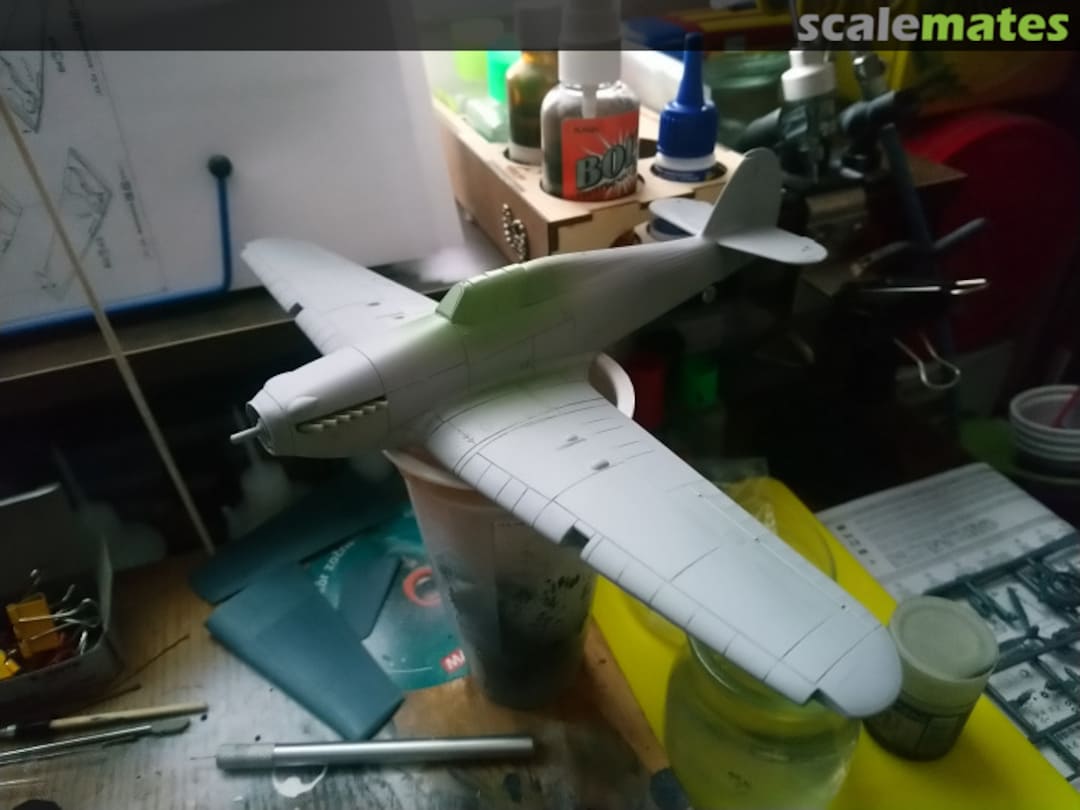 View album, image #1 View album, image #1