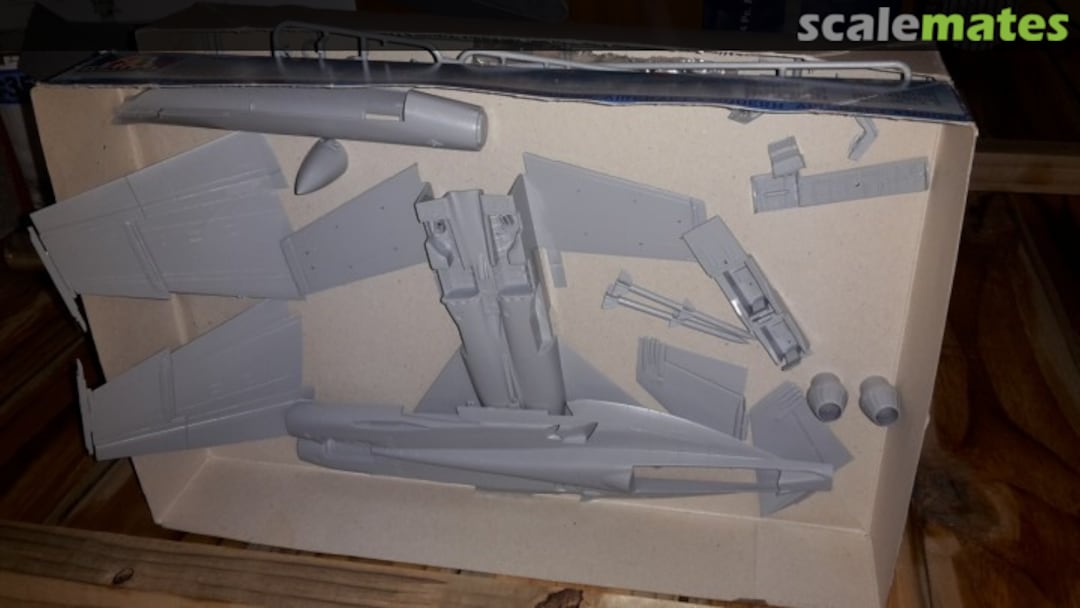 View album, image #1 View album, image #1