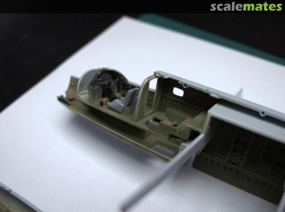 View album, image #1