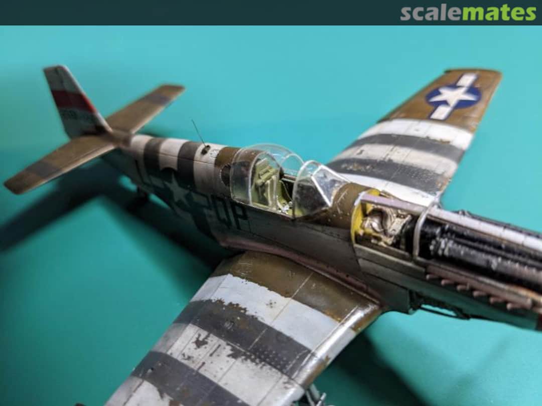 View album, image #1 View album, image #1