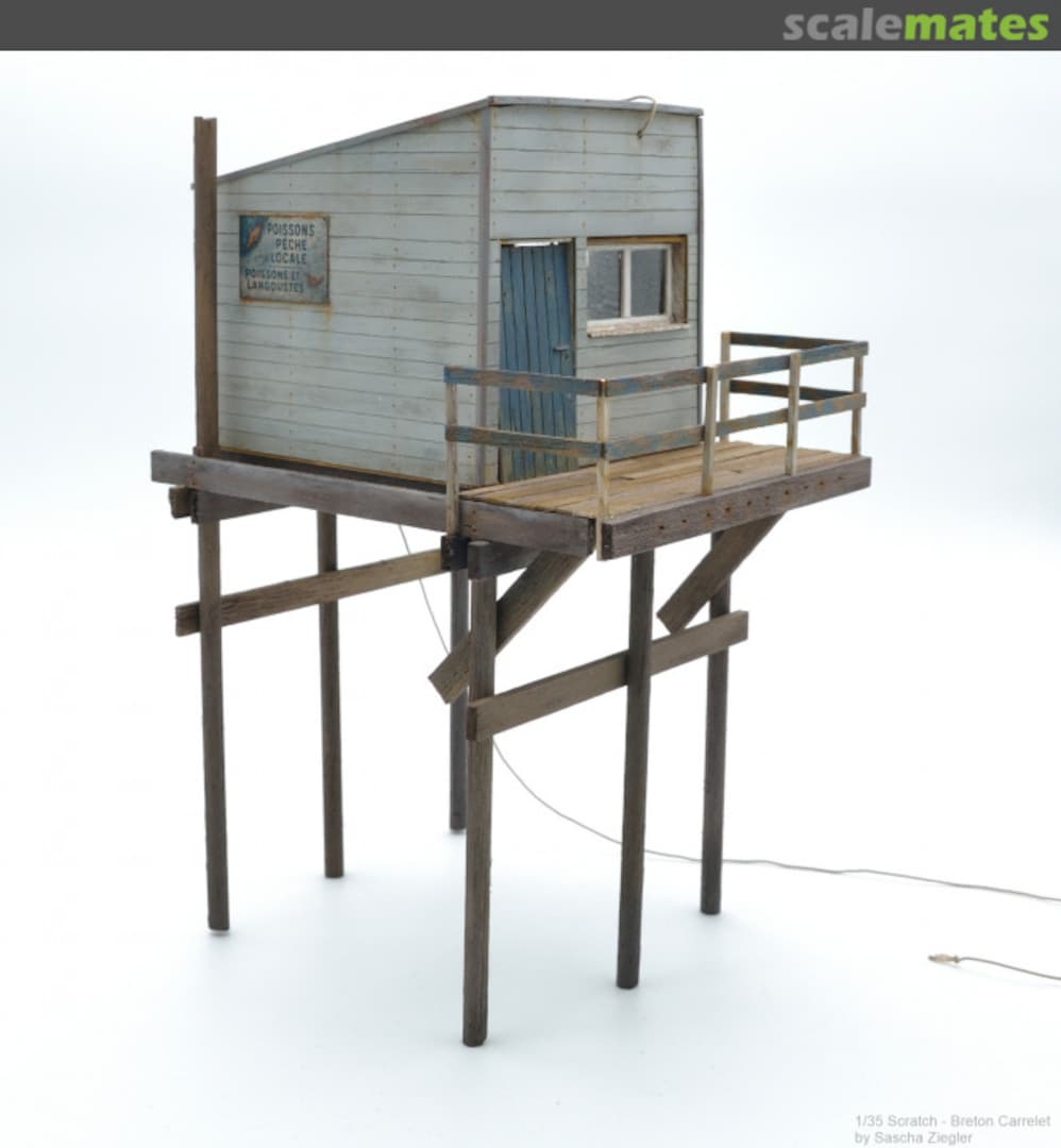 View album, image #38 View album, image #38