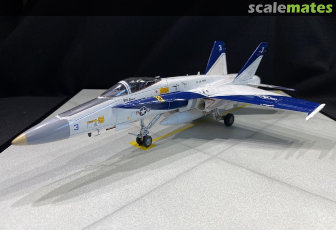 View album, image #40 View album, image #40