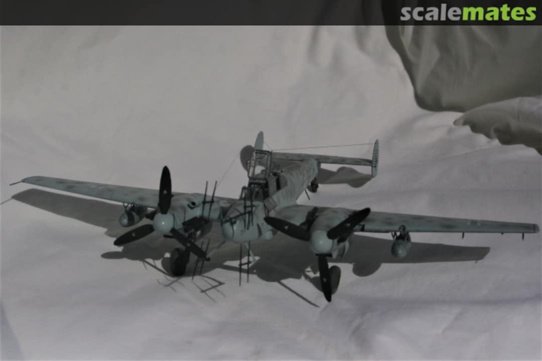 View album, image #1 View album, image #1