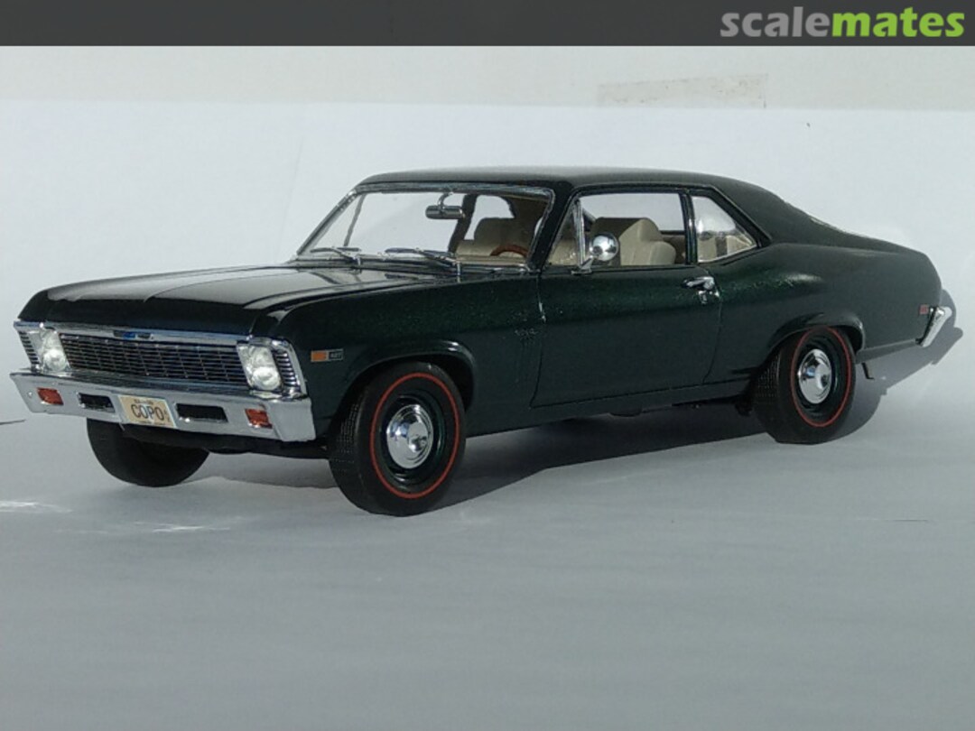 View album, image #2 View album, image #2