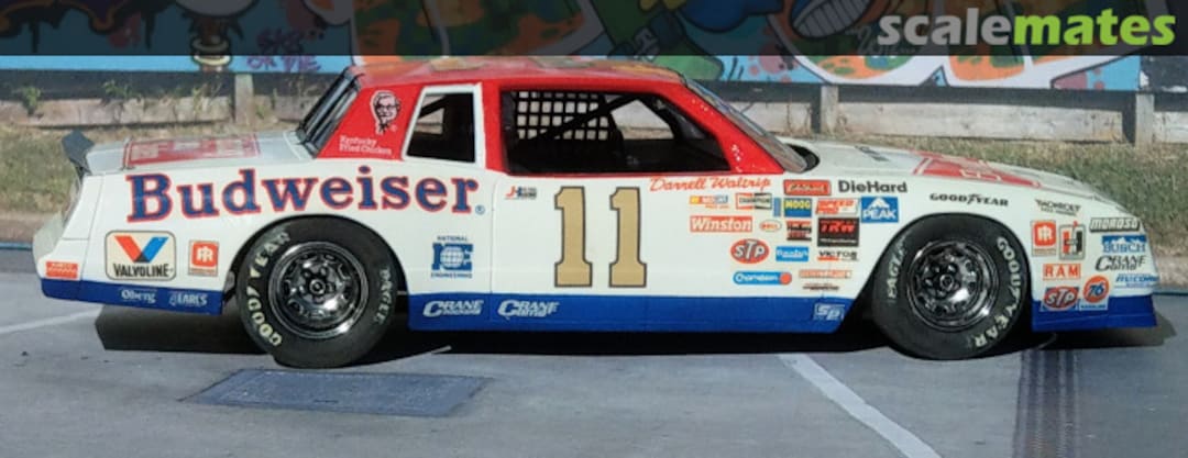 View album, image #1 View album, image #1