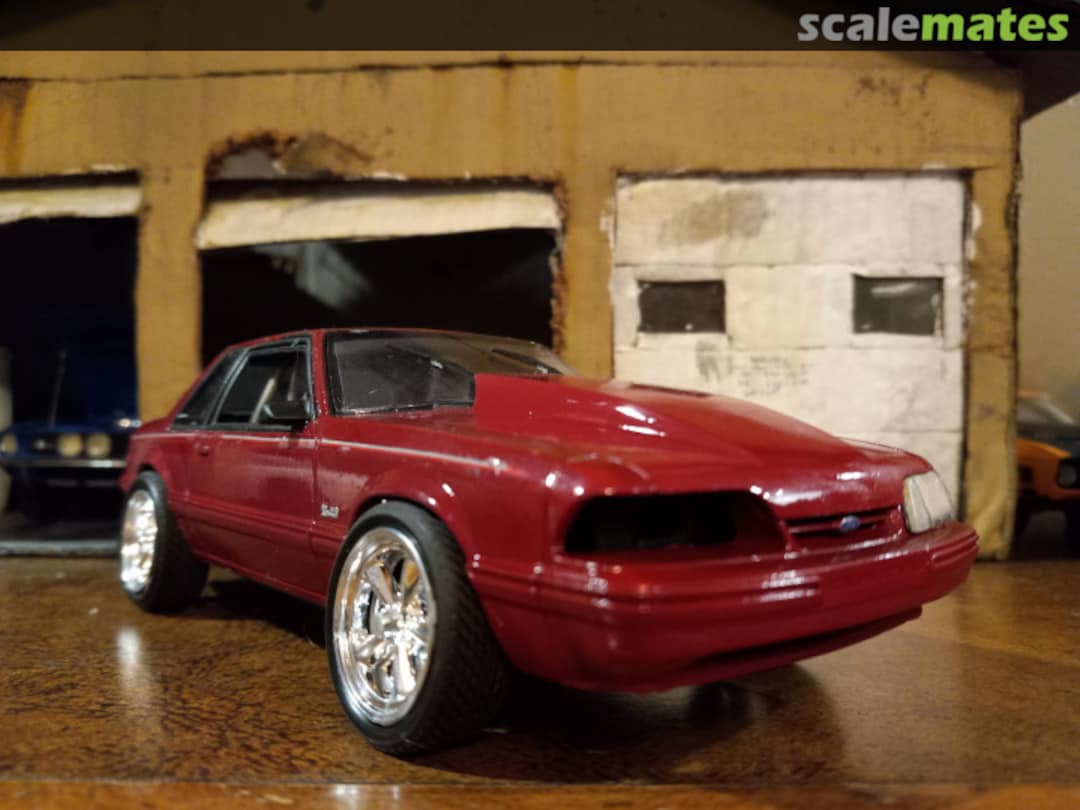 View album, image #1