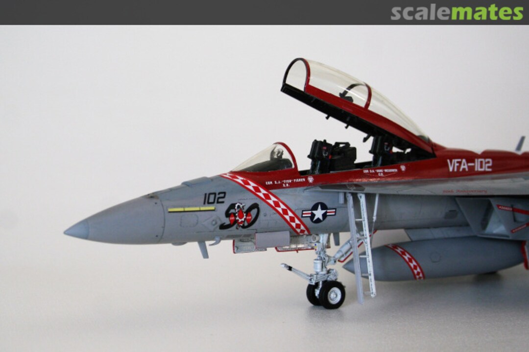 View album, image #1 View album, image #1