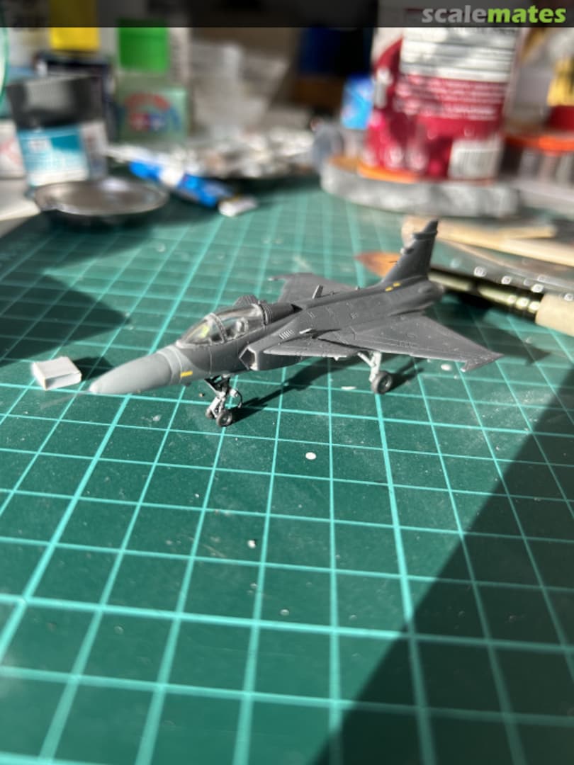 View album, image #11 View album, image #11