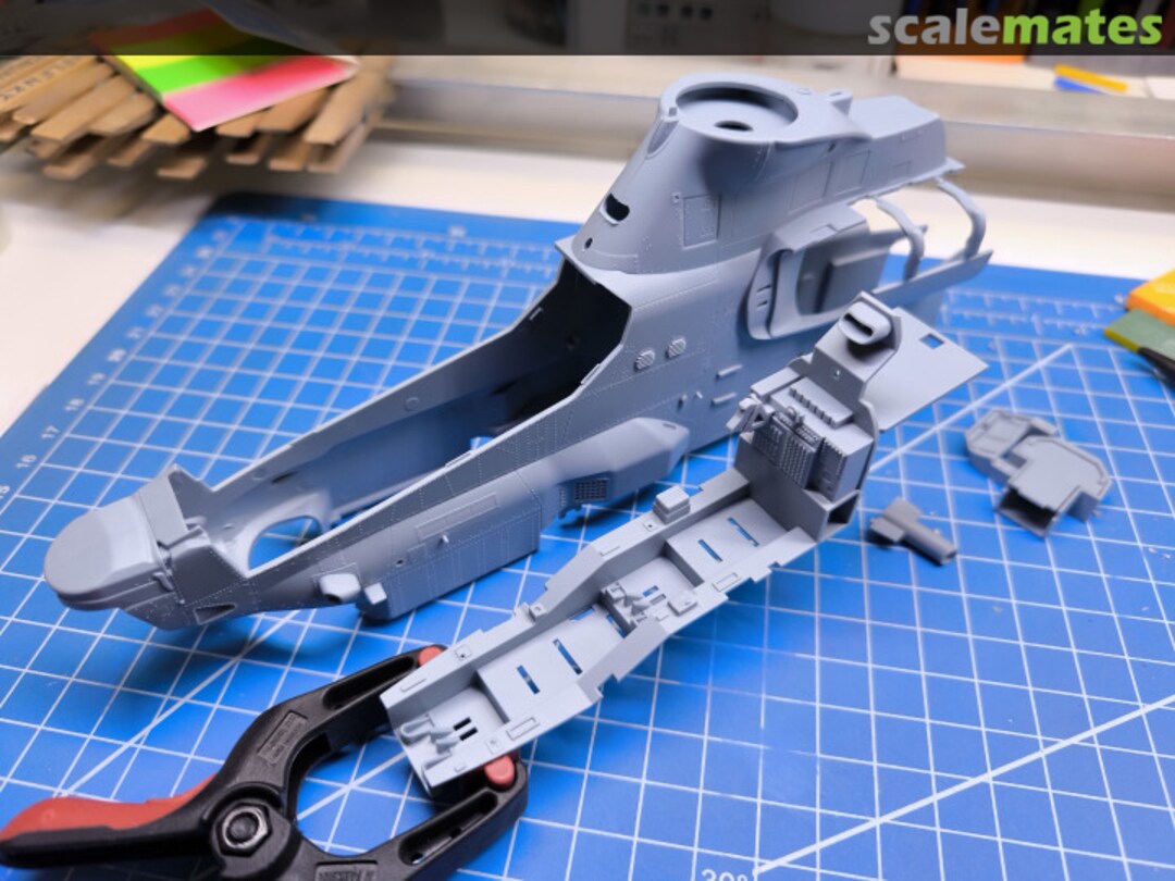 View album, image #1