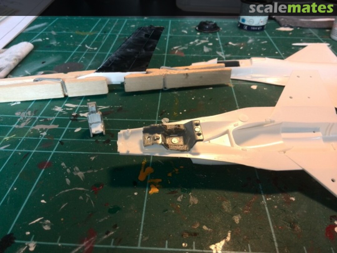 View album, image #1 View album, image #1